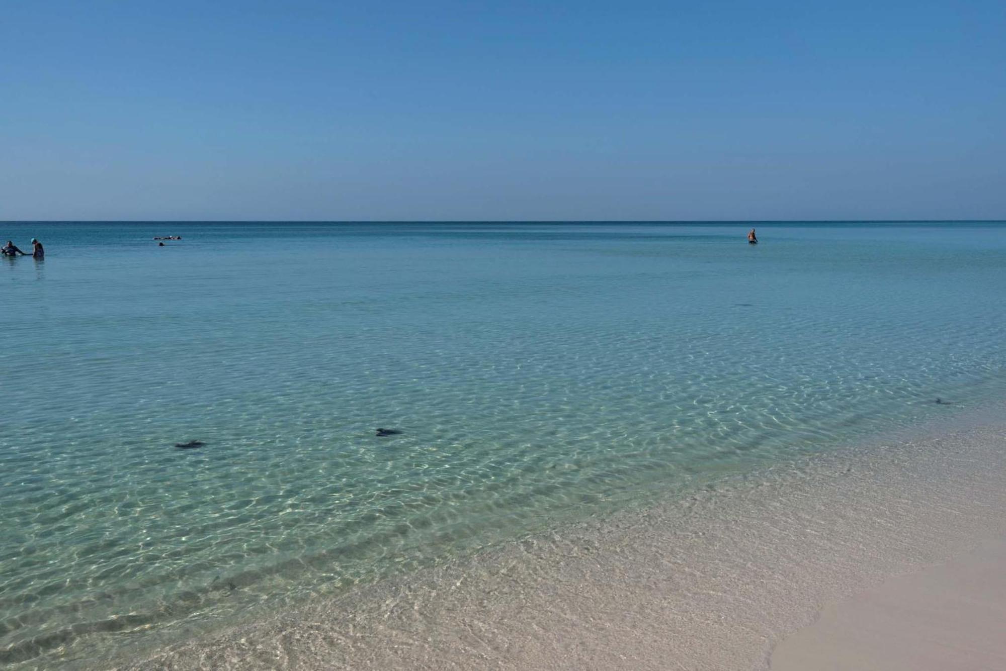 Majestic Sun 1014B- Shades Of Blue Aparthotel Miramar Beach Εξωτερικό φωτογραφία